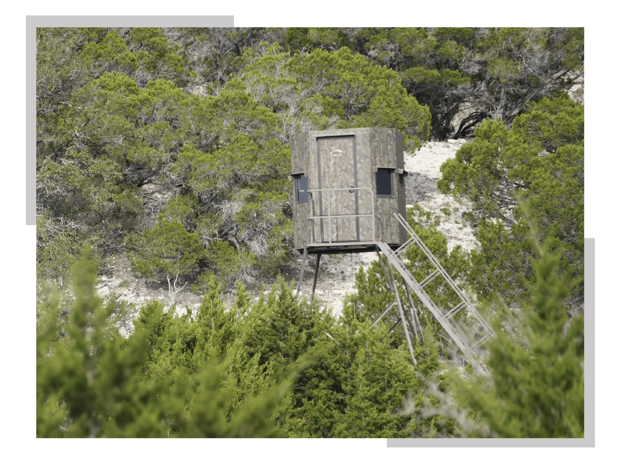 MB Ranch King Economy blinds